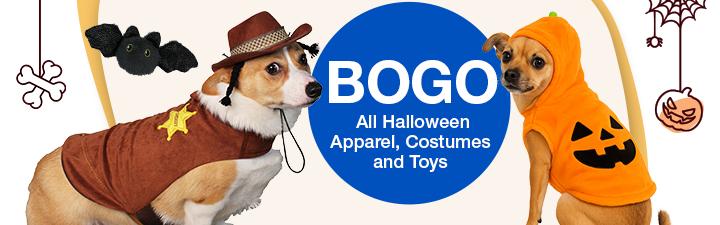 BOGO all halloween apparel, costumes, and toys" with 2 dogs in costumes on a purple background with Halloween webs
