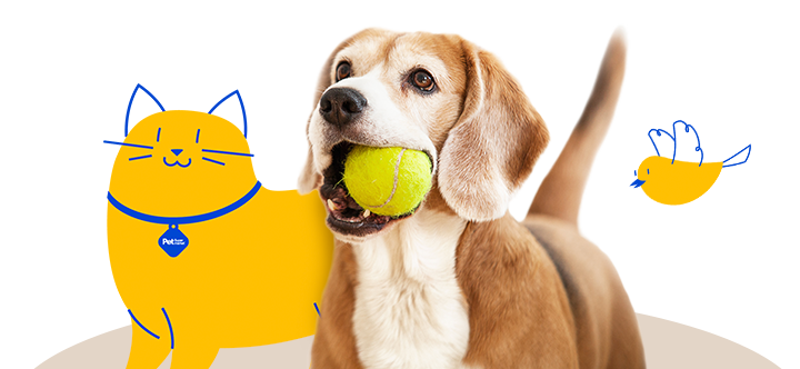 Pet supermarket 2024 dog shampoo