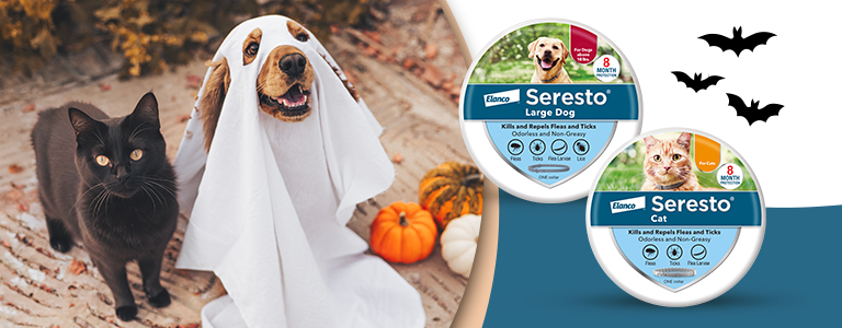 Black cat and golden retriever next to Seresto flea collars, Advantage II products, pumpkins, and flying bat illustrations.