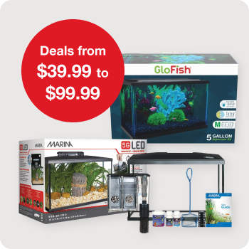 $39.99-$99.99 Desk Top Kits