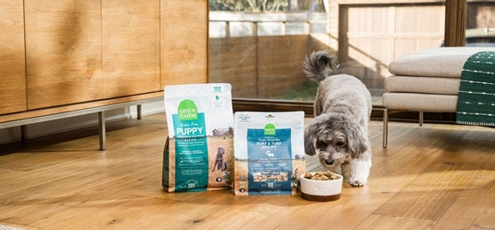 Dog eating out of white bowl next to Open Farm dog food bag