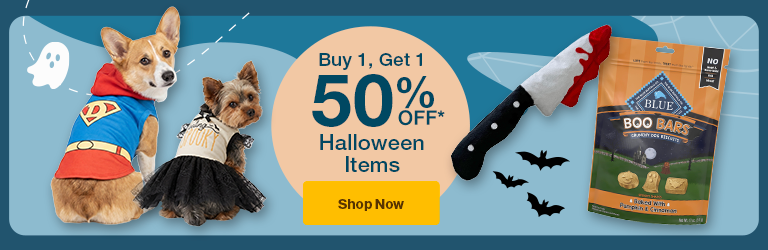 Halloween toys "Buy 1 Get 1  50% Off Halloween items Shop now" on background with ghosts and bats