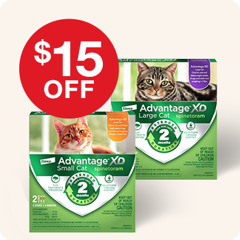 Advantage XD Flea Treatment for Small & Large Cat