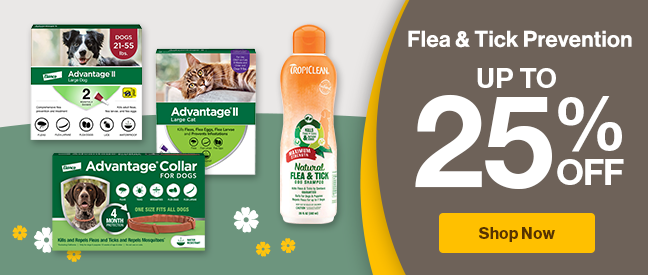 Flea & Tick Prevention "up to 25% off" shop now with 4 flea/tick products on green hill