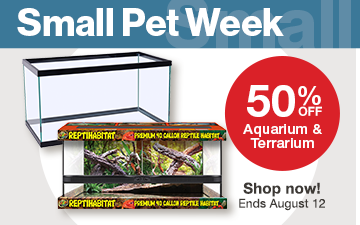"50% off Aquarium & Terrarium. Shop now. Offer ends August 12