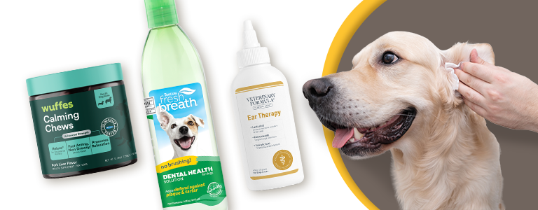 golden retriever dog getting ear cleaned with three wellness products