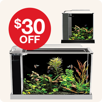 $30 Off on Fluval Spec Aquatic Desktop Kit