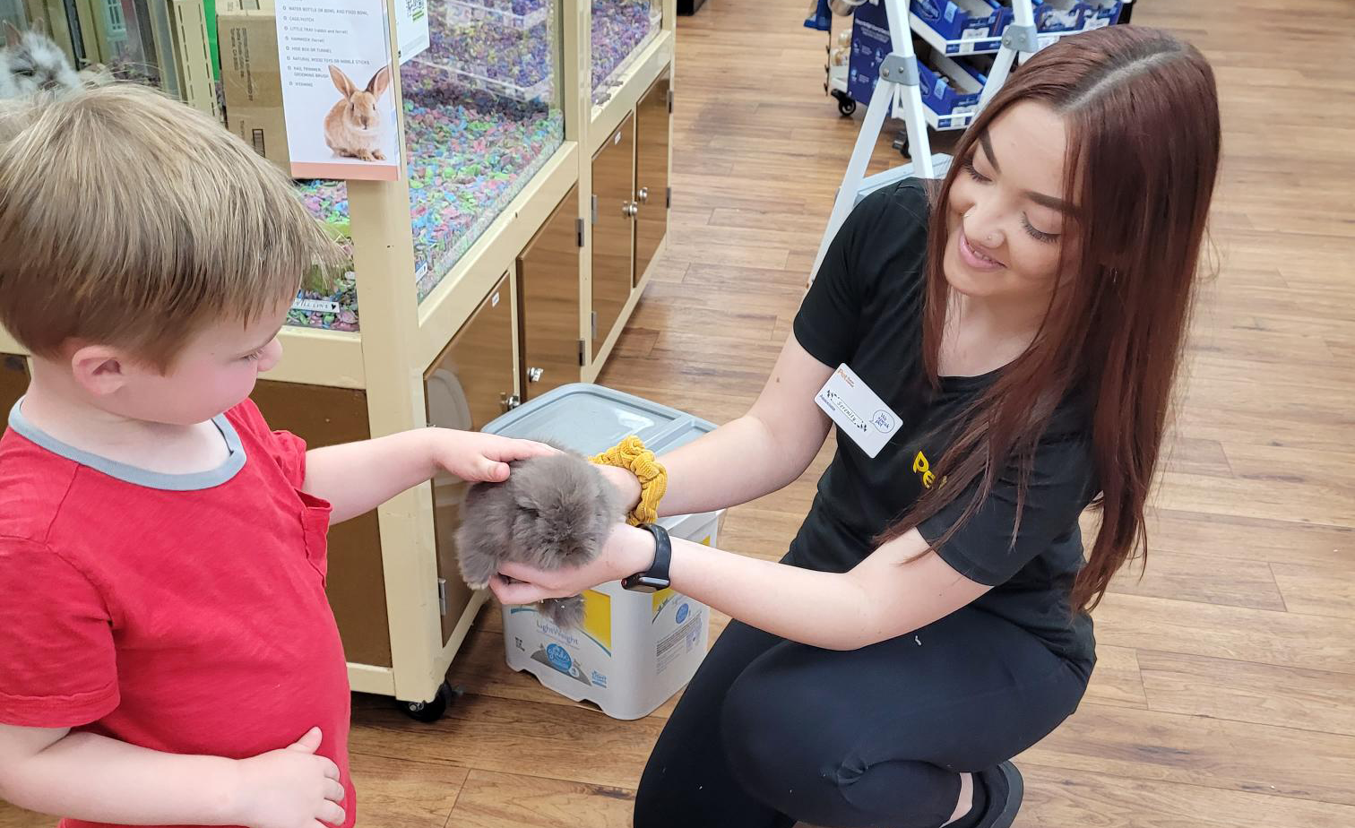 A young boy petting a rabbit while the Pet Supermarket associate holds it