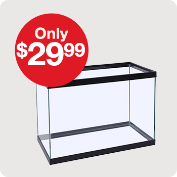 Only $29.99 Marineland Open Glass Tank 20 Gal.