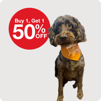 Buy 1, Get 1 50% Off Aristopet Apparel and Accessories 