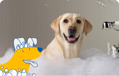 Try Our Self-Serve Dog Wash