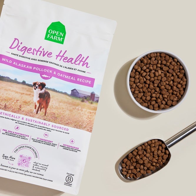 bag of digestive health dog food purple label with a bowl and scoop