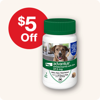 $5 Off Advantus Chewable Oral Flea Treatment 7 ct