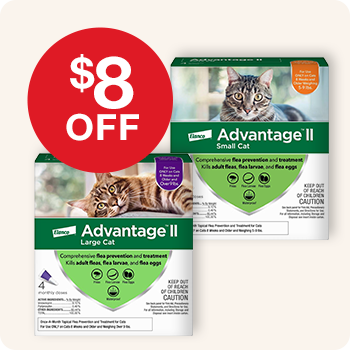 Advantage II Flea Treatment for Large & Small Cat
