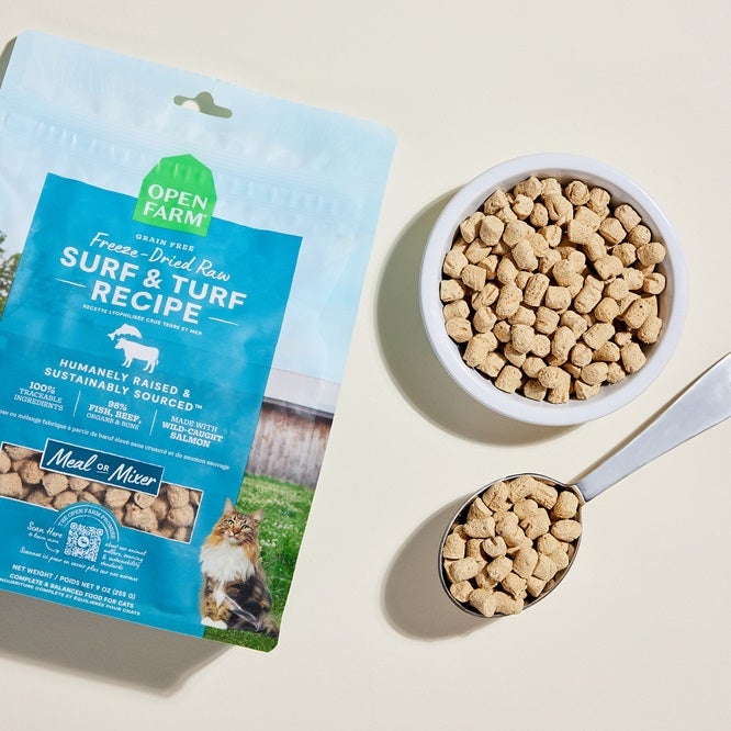Freeze Dried Raw cat food bag with blue label and bowl and scoop