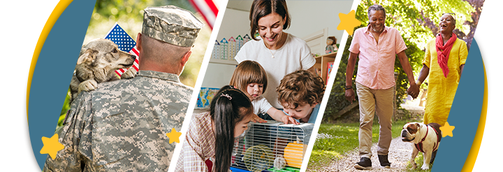 Seniors, Military, Teachers stars