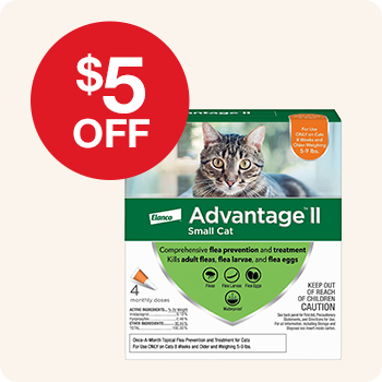 A box of Elanco Advantage II Small Cat flea prevention and treatment. A red circle overlay states "$5 OFF"
