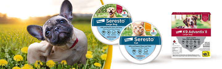 Dog itching in field of flowers with flea & Tick product images of advantage ii and Seresto collars