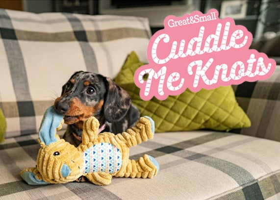 Cuddle Me Knots logo in pink with dash hound puppy and yellow toy on couch in background