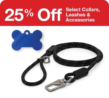 "25% off select collars, leashes & accessories" with dog ID tag and black leash