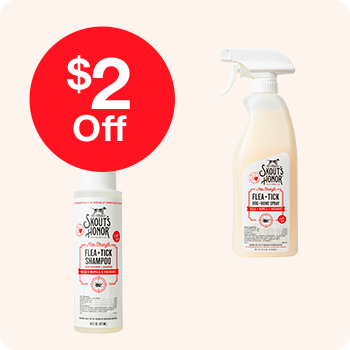 Two bottles of cleaning products featuring a "$2 off" promotional label.