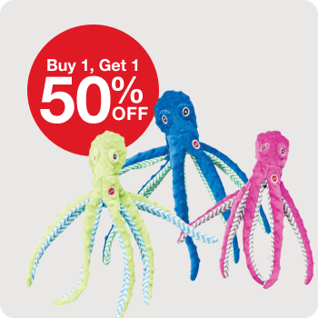 BOGO 50% SPOT Dog Toys