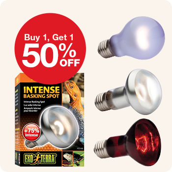 Exo Terra Reptile Bulbs box with 3 bulb variants with "Buy 1, Get 1 50% Off" offer