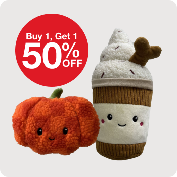 Buy 1 Get 1 50% Aristopet Pumpkin Spice Fall Dog Toys 