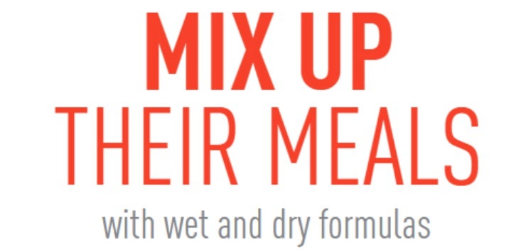 Mix Up Their Meals with wet and dry formulas Mix Up Their Meals with wet and dry formulas