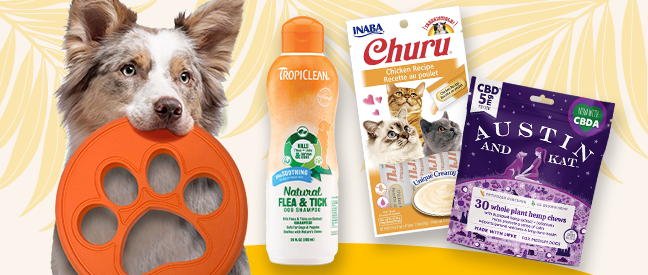 Summer theme image with dog holding frisbee and flea & tick shampoo, CBD treats and Churu cat treats