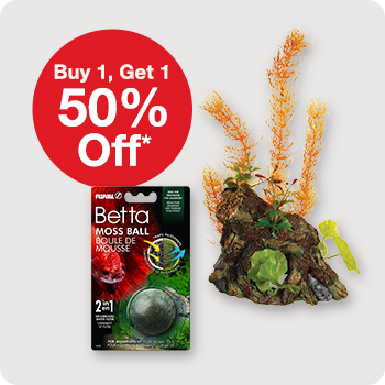 Buy 1, Get 1 50% Off Marina and Fluval Aquatic Decor and Substrates 