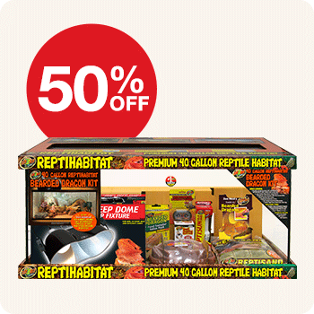 50% Off Zoo Med Bearded Dragon Starter Kit 40 Gal. 