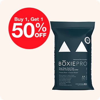 Promotional graphic for BoxiePro: Buy 1, get 1 at 50% off.