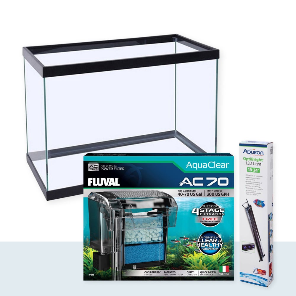 Fish Supplies Set