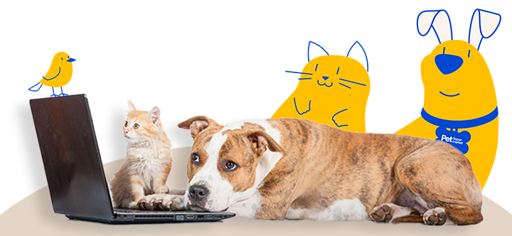 A dog and a kitten lying on the floor, looking at a laptop. Behind them are yellow cartoon characters representing Pet Supermarket Peticons, including a bird, a cat, and a dog.