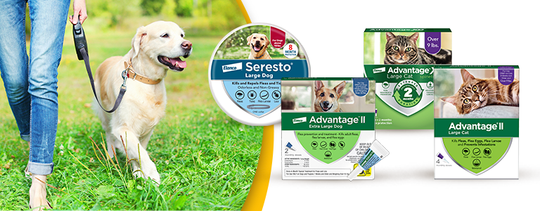 Dog in field of flowers with flea & Tick product images of advantage ii and Seresto collars