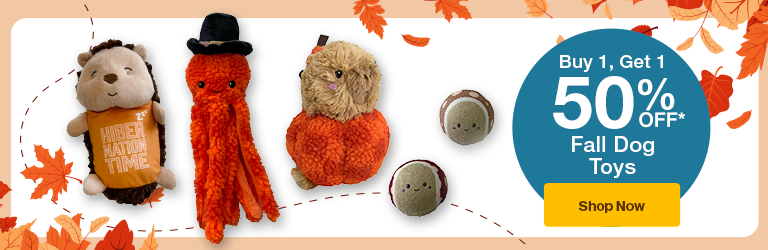 fall toys "Buy 1 Get 1  50% Off Fall Dog Toys Shop now" on background with leaves