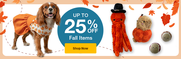 fall toys "up to 35% Off Fall items Shop now" on background with leaves
