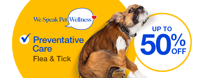 Nearest pet supermarket store