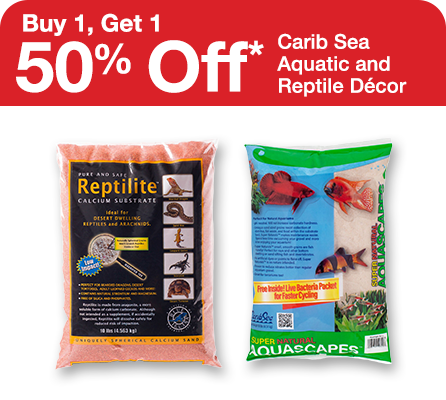 Buy 1, Get 1 50% Off Carib Sea Aquatic and Reptile Decor