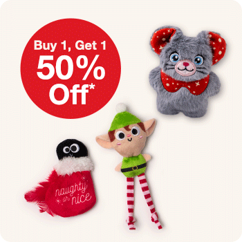 Buy 1, Get 1 50% Off* All Holiday Toys, Apparel and Accessories 