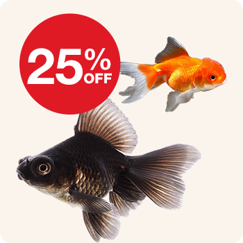 Two goldfish in golden and dark grown with a offer bubble with '25% off' offer