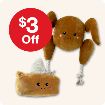 $3 Off All #BFF It's Fall Y'all Dog Toys