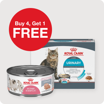 Buy 4, Get 1 FREE Royal Canin Cat Food cans
