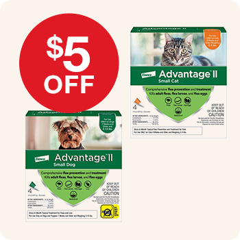 Boxes of Advantage II flea prevention treatment for small dogs and small cats, with a red circular label that says "$5 OFF".