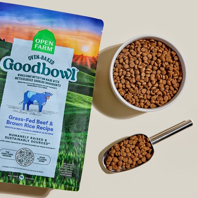 Goodbowl dog food bag and bowl with food in scoop