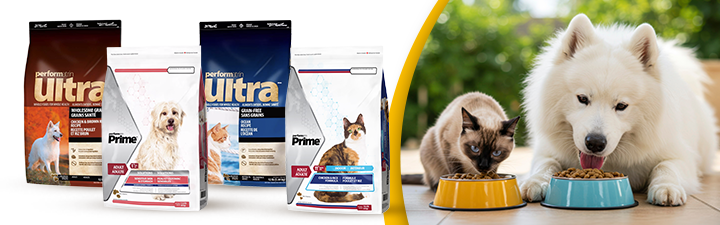 4 Performatrin dog and cat food bags with lifestyle image of white dog and tan cat eating out of bowls