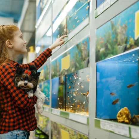Pet sales supermarket fish