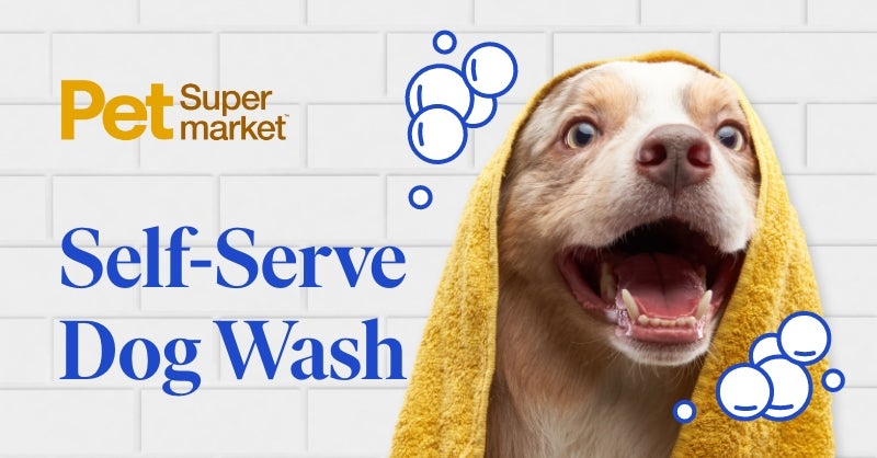 Dog Wash