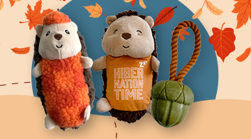 Fall-themed dog toys, including a plush turkey and catnip scarecrow